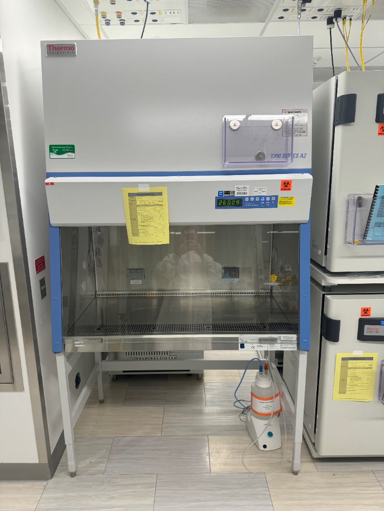 Image of Thermo 1300 Series A2 4' Biosafety Cabinet